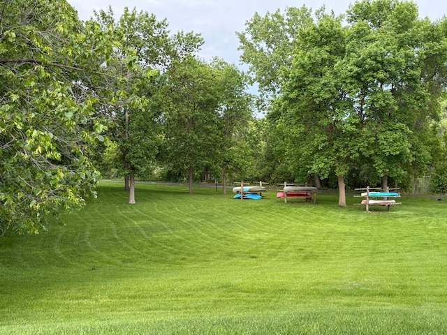 14410 92nd Ave N, Maple Grove, MN 55369 - view of grassy yard