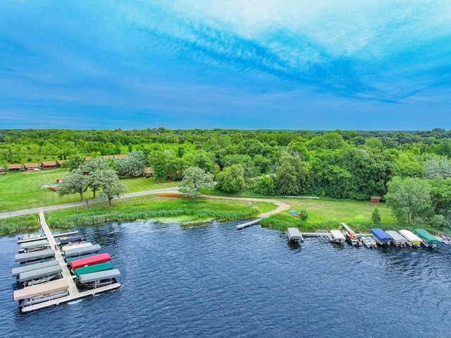 3865 Wahtomin Trl NW, Alexandria, MN 56308 - drone / aerial view of a forest and a nearby body of water
