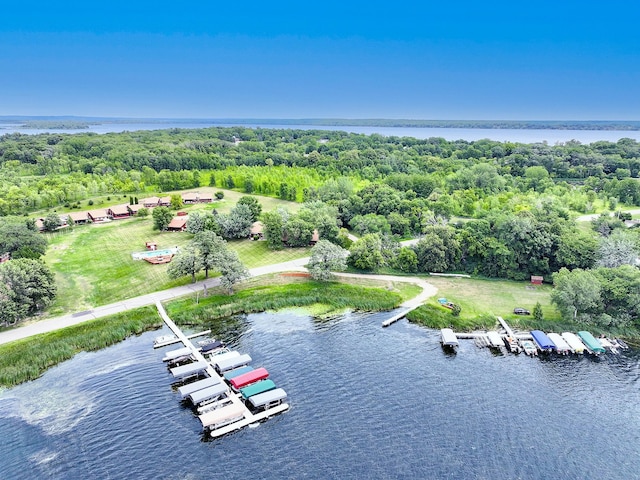 3865 Wahtomin Trl NW, Alexandria, MN 56308 - bird's eye view of a large body of water and a forest