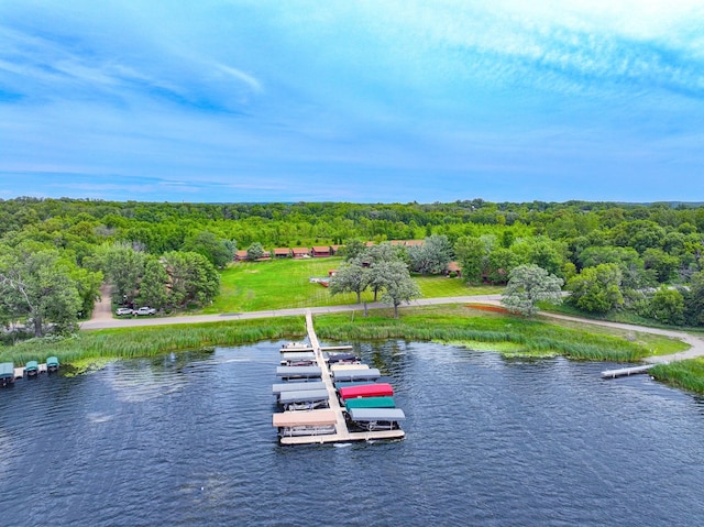 3865 Wahtomin Trl NW, Alexandria, MN 56308 - bird's eye view of a nearby body of water and a heavily wooded area