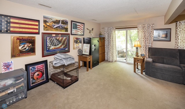 1427 23rd St S, Fargo, ND 58103 - carpeted living area with a textured ceiling