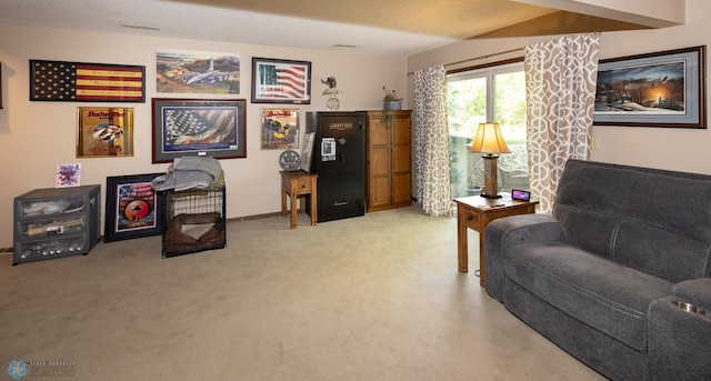 1427 23rd St S, Fargo, ND 58103 - living area with carpet, a textured ceiling, and baseboards