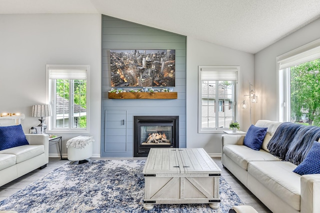 11001 Isanti Ct NE, Blaine, MN 55449 - living room featuring vaulted ceiling, a large fireplace, wood finished floors, and baseboards