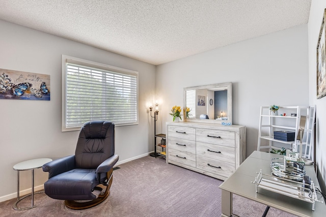 11001 Isanti Ct NE, Blaine, MN 55449 - office space featuring carpet flooring, a textured ceiling, and baseboards
