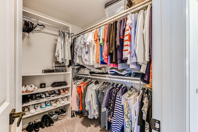 11001 Isanti Ct NE, Blaine, MN 55449 - spacious closet with carpet flooring