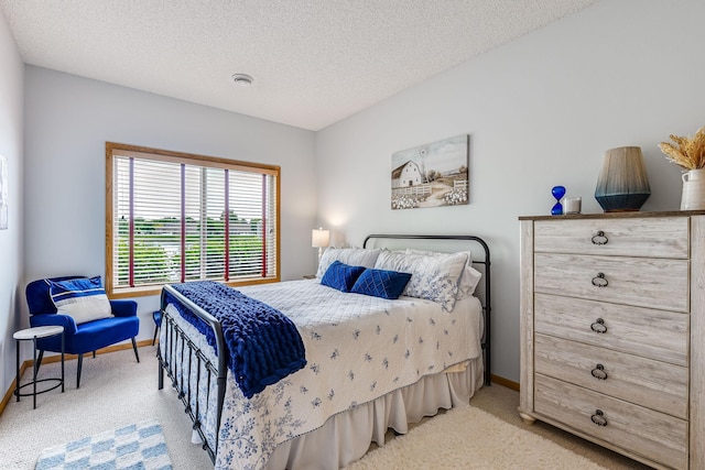 11001 Isanti Ct NE, Blaine, MN 55449 - bedroom with carpet, baseboards, and a textured ceiling