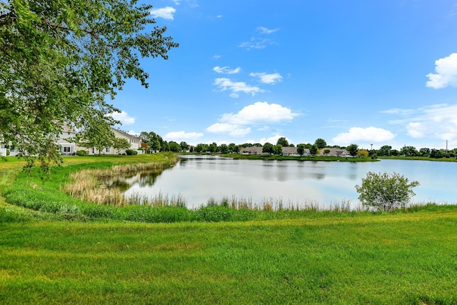 11001 Isanti Ct NE, Blaine, MN 55449 - water view