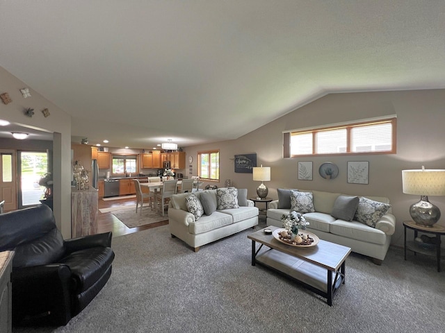 1209 23rd St SE, Willmar, MN 56201 - living area with vaulted ceiling and carpet floors