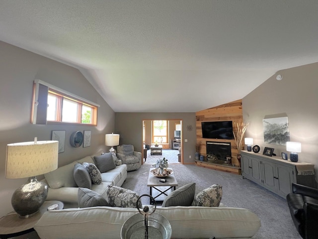 1209 23rd St SE, Willmar, MN 56201 - living room with vaulted ceiling, light colored carpet, a fireplace with raised hearth, and wood walls