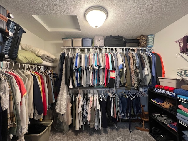 1209 23rd St SE, Willmar, MN 56201 - walk in closet featuring carpet flooring