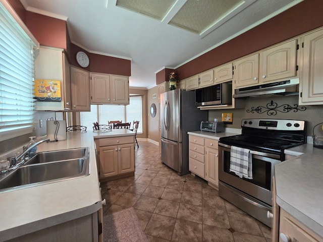 620 5th Ave SE, Pipestone, MN 56164 - kitchen with stainless steel appliances, under cabinet range hood, crown molding, a sink, and light countertops