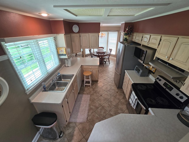 620 5th Ave SE, Pipestone, MN 56164 - kitchen featuring stainless steel appliances, a sink, light countertops, crown molding, and a peninsula