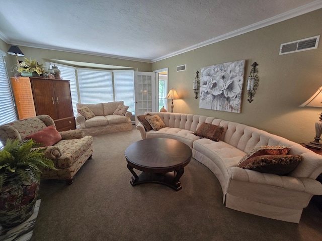 620 5th Ave SE, Pipestone, MN 56164 - carpeted living room featuring crown molding and a textured ceiling