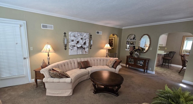 620 5th Ave SE, Pipestone, MN 56164 - living room with arched walkways, ornamental molding, carpet flooring, and baseboards