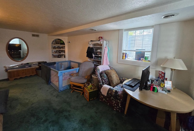 620 5th Ave SE, Pipestone, MN 56164 - living room featuring carpet flooring and a textured ceiling
