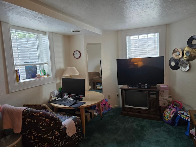 620 5th Ave SE, Pipestone, MN 56164 - carpeted living room featuring a textured ceiling and baseboards