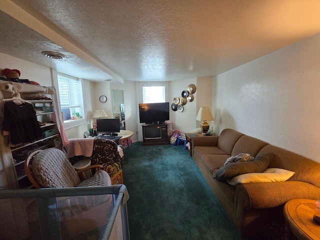 620 5th Ave SE, Pipestone, MN 56164 - carpeted living area featuring a textured ceiling
