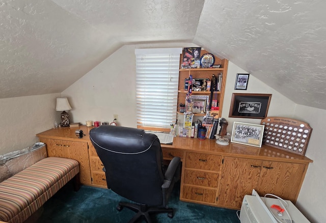 620 5th Ave SE, Pipestone, MN 56164 - carpeted home office featuring a textured ceiling and vaulted ceiling