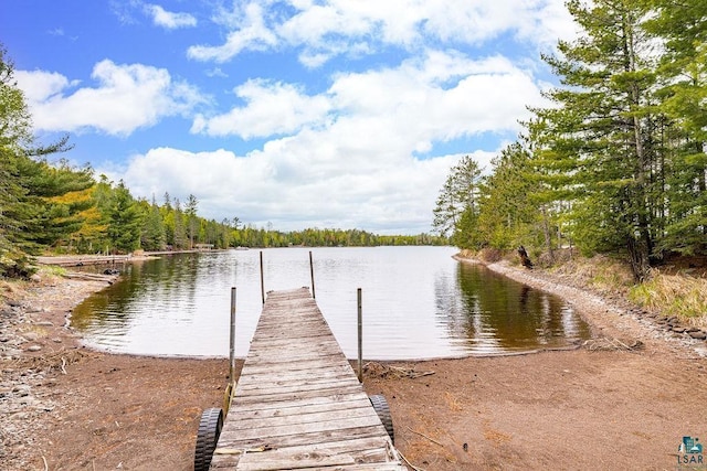 4015 Van Rd, Duluth, MN 55803 - dock area with a water view and a view of trees