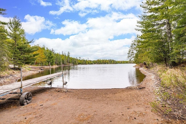 4015 Van Rd, Duluth, MN 55803 - dock area with a water view and a wooded view
