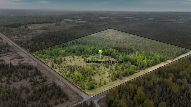 TBD Heino Rd, Sturgeon Twp, MN 55703