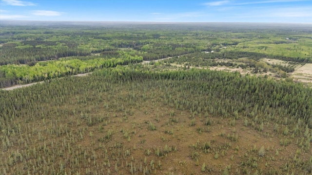 TBD Heino Rd, Sturgeon Twp, MN 55703