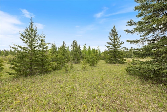 TBD Heino Rd, Sturgeon Twp, MN 55703