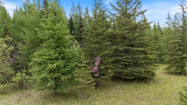 TBD Heino Rd, Sturgeon Twp, MN 55703