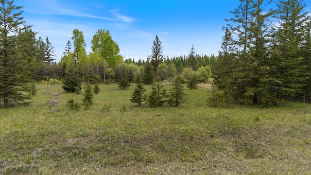 TBD Heino Rd, Sturgeon Twp, MN 55703