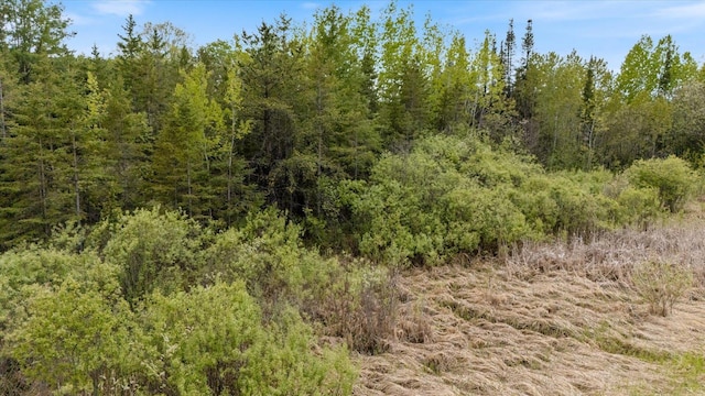 TBD Heino Rd, Sturgeon Twp, MN 55703