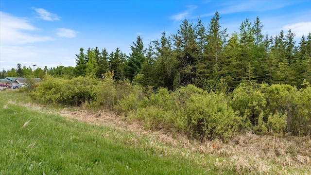 TBD Heino Rd, Sturgeon Twp, MN 55703