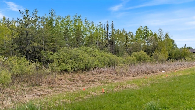 TBD Heino Rd, Sturgeon Twp, MN 55703