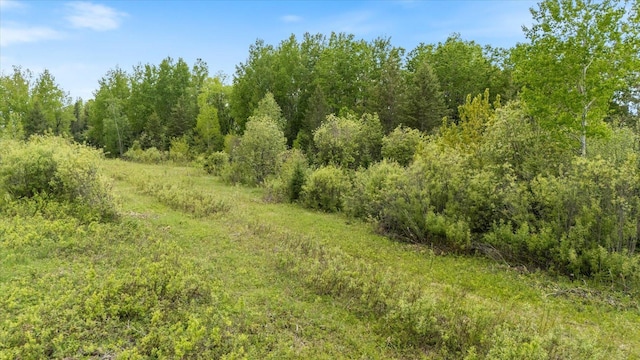 TBD Heino Rd, Sturgeon Twp, MN 55703