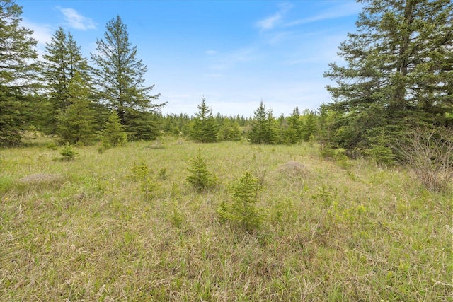 TBD Heino Rd, Sturgeon Twp, MN 55703