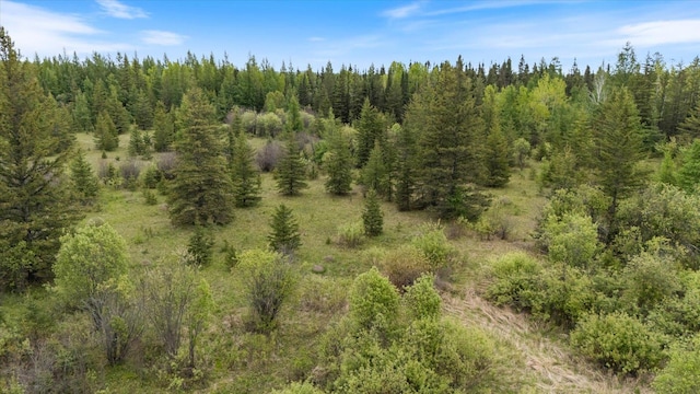 TBD Heino Rd, Sturgeon Twp, MN 55703
