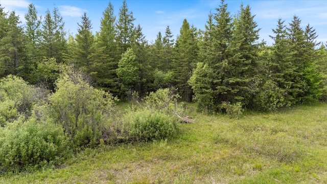 TBD Heino Rd, Sturgeon Twp, MN 55703