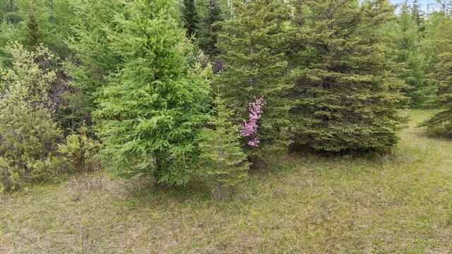 TBD Heino Rd, Sturgeon Twp, MN 55703