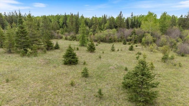 TBD Heino Rd, Sturgeon Twp, MN 55703