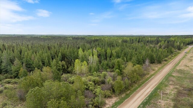 TBD Heino Rd, Sturgeon Twp, MN 55703