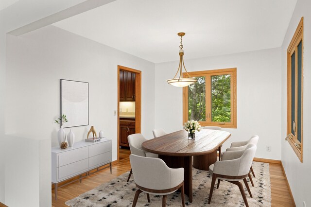 1624 Saint Croix Cir, Golden Valley, MN 55422 - dining space featuring light wood-type flooring