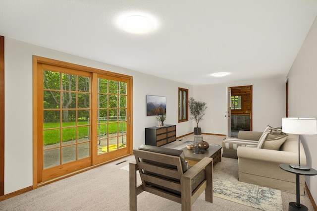 1624 Saint Croix Cir, Golden Valley, MN 55422 - carpeted living room with baseboards