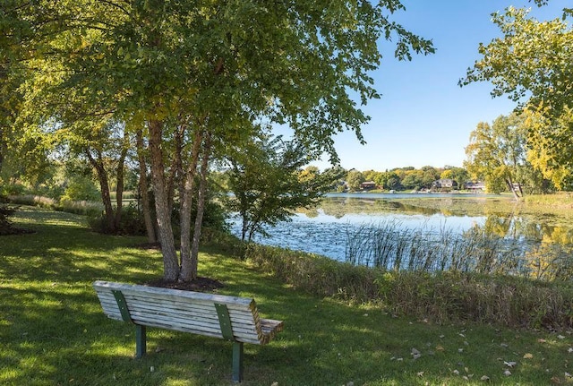 1624 Saint Croix Cir, Golden Valley, MN 55422 - surrounding community with a water view and a lawn