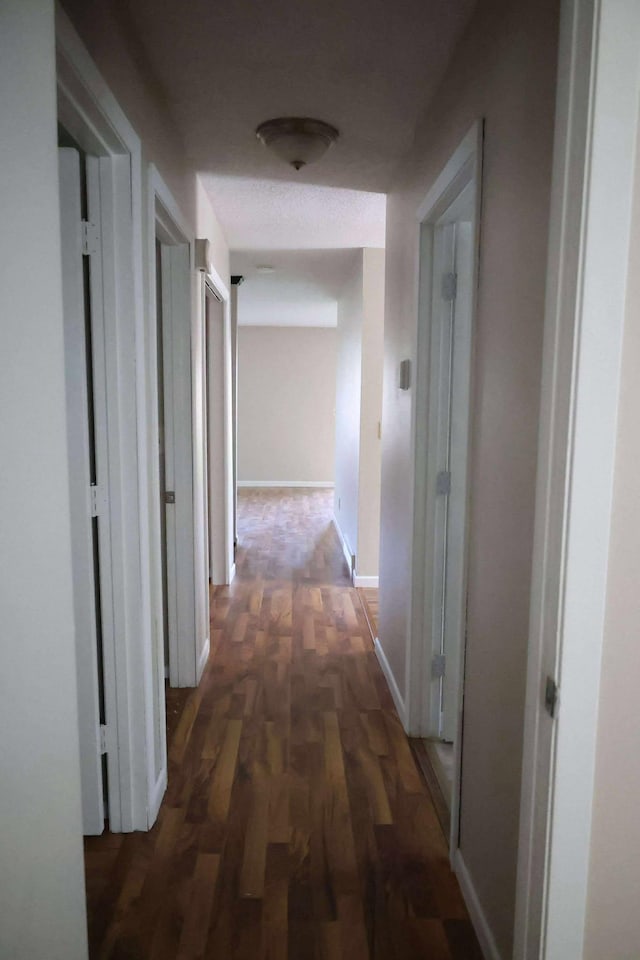 531 5th Street Ct E, West Fargo, ND 58078 - hall with wood finished floors and baseboards