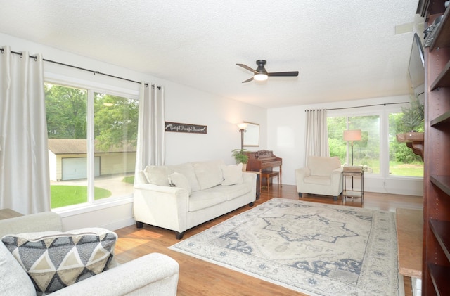 2603 140th Ln NW, Andover, MN 55304 - living room featuring ceiling fan, wood finished floors, and a textured ceiling