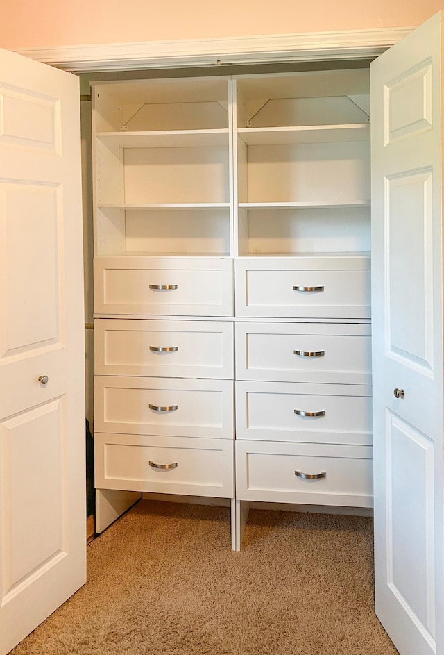 2603 140th Ln NW, Andover, MN 55304 - view of closet
