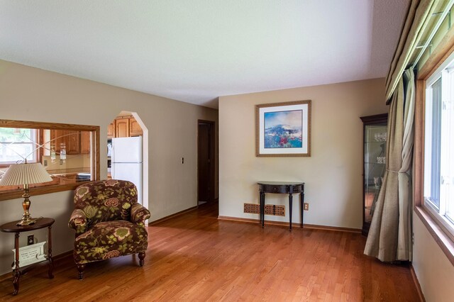 8659 215th St N, Forest Lake, MN 55025 - sitting room with healthy amount of natural light, light wood-style floors, and arched walkways