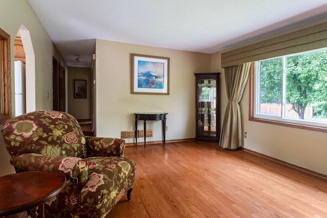 8659 215th St N, Forest Lake, MN 55025 - sitting room with light wood-type flooring and baseboards