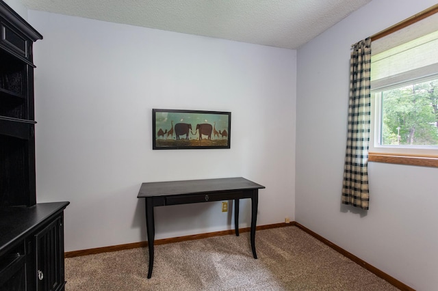 8659 215th St N, Forest Lake, MN 55025 - office featuring carpet floors, baseboards, and a textured ceiling
