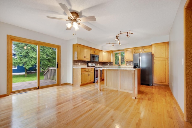 7811 209th St N, Forest Lake, MN 55025 - kitchen with stainless steel appliances, light wood-type flooring, plenty of natural light, and ceiling fan