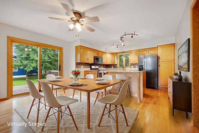 7811 209th St N, Forest Lake, MN 55025 - dining room featuring healthy amount of natural light, light wood-style flooring, and ceiling fan